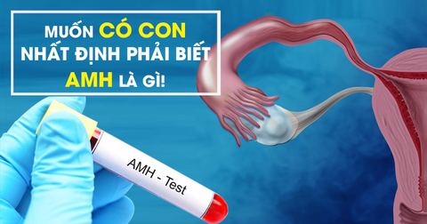 Chỉ số AMH - Dự đoán khả năng dự trữ buồng trứng và mang thai của bạn!