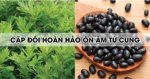 Ngải nhật & Đỗ đen: Cặp đôi “hoàn hảo” giúp ôn ấm tử cung phụ nữ