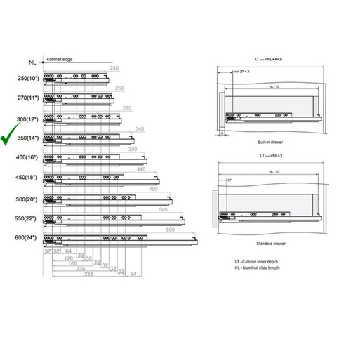 RAY ÂM GIẢM CHẤN