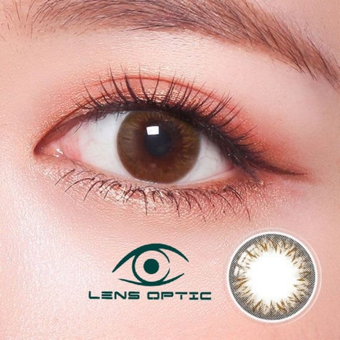 Kính áp tròng 1 ngày màu Latin Clalen iris, lens mắt màu nâu có độ cận - Lens Optic
