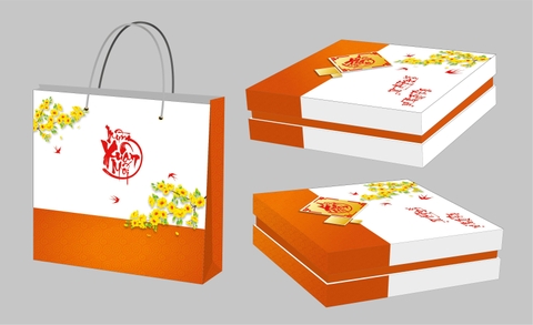 Set Hộp Quà Tết Kèm Túi