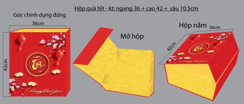 Set Hộp Quà Tết 5