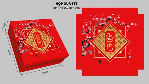 Set Hộp Quà Tết 6