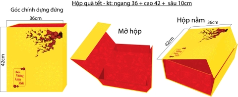 Set Hộp Quà Tết 7