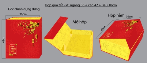 Set Hộp Quà Tết 8