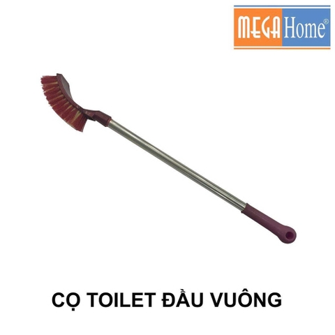 cọ cong megahome