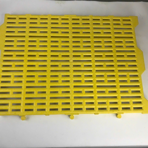 tấm lót sàn heo vàng 55x40