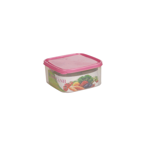 HỘP LẠNH VUÔNG NHẬT 6538-1