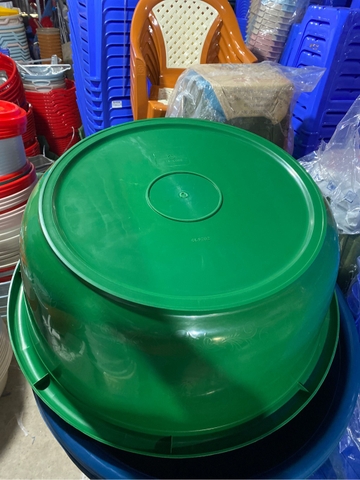 Chậu 6T5 Gia Long VN 1002