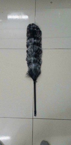 Chổi lông đài loan