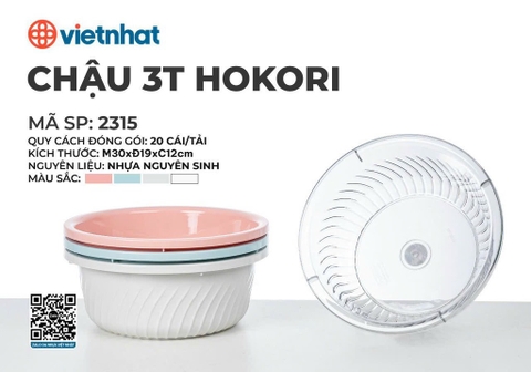 CHẬU 3T HOKORI 2315
