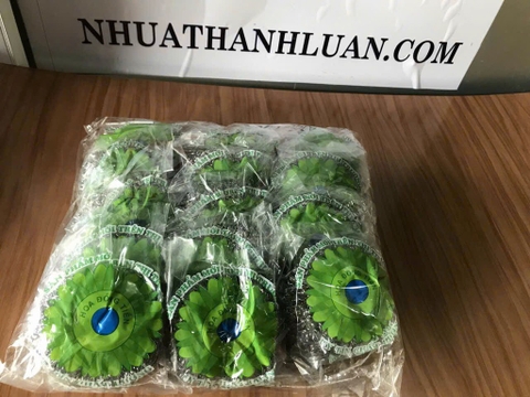 cọ cúc đại xanh