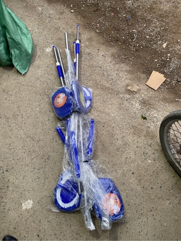 cây lau tường ovan 3m tt mới