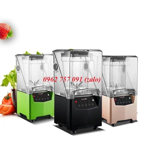 Máy xay sinh tố công nghiệp Canshu HZ-300