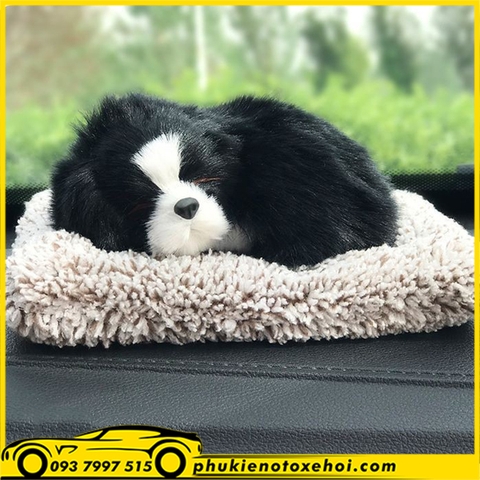 Chú chó để Taplo xe hơi