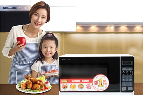 7 yếu tố cần lưu ý để mua được chiếc lò vi sóng chất lượng tốt, bền đẹp