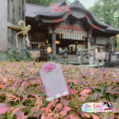 An Sản - Hongu