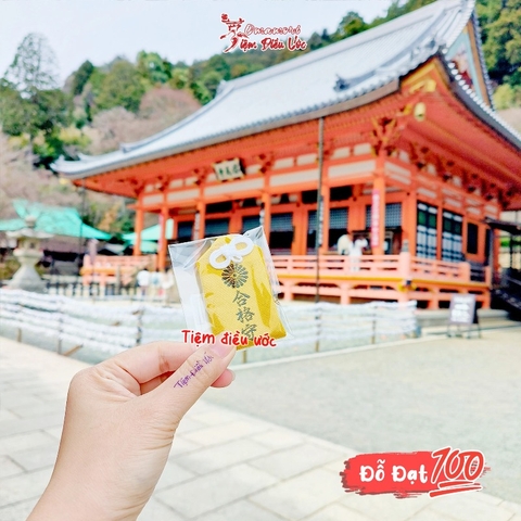 Đỗ Đạt - Daruma