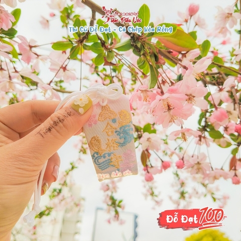 Đỗ Đạt - Hyogo