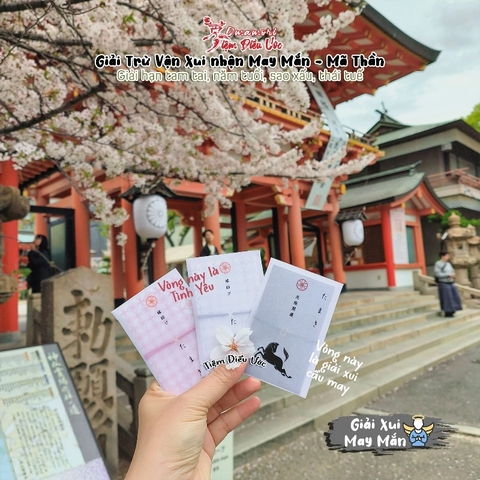 Vòng Tamaki Giải Xui Cầu May - Móng Ngựa