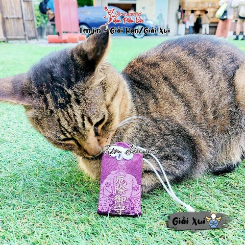 Giải Xui - Sonezaki