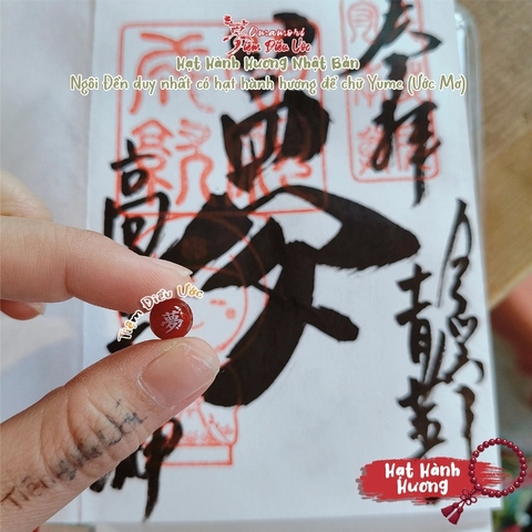 Hạt Hành Hương - May Mắn Bảo Vệ