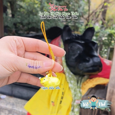 Hộ thể - Trâu Kyoto