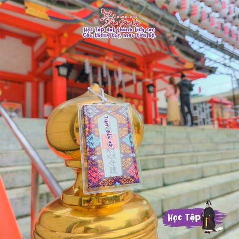 Học Tập - Shinjuku