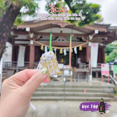 Học Tập - Shibuya