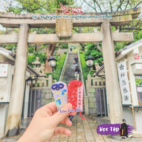 Học Tập - Kitanocho