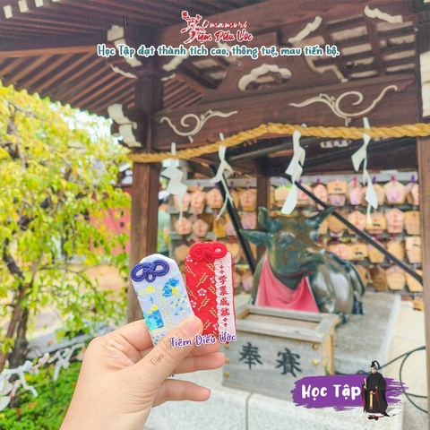 Học Tập - Kitanocho