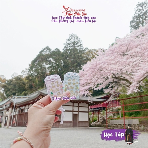 Học tập - Kodaiji