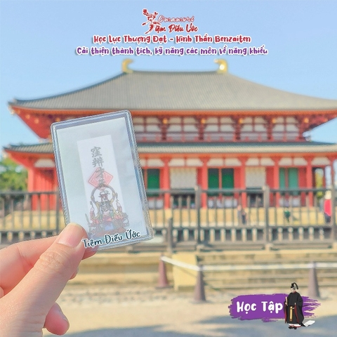 Phát Triển Kỹ Năng - Biện Tài Thiên