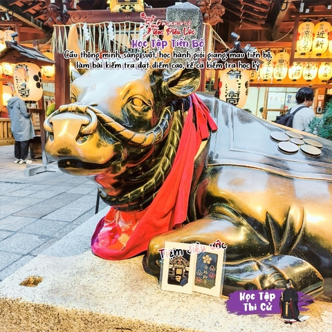 Học tập Thi Cử Shijo-dori