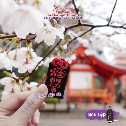 Học Lực Tiến Bộ - Cắt bỏ sự lười