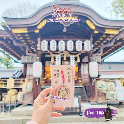 Nền Tảng Tốt - Phát Triển Kỹ Năng