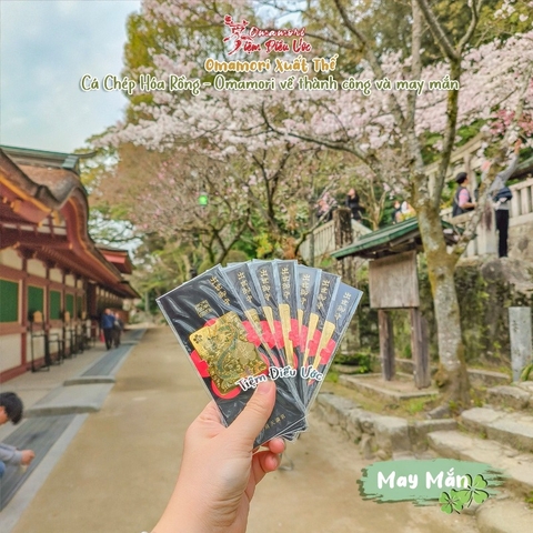 May Mắn Cá Chép Hoá Rồng - Dazaifu
