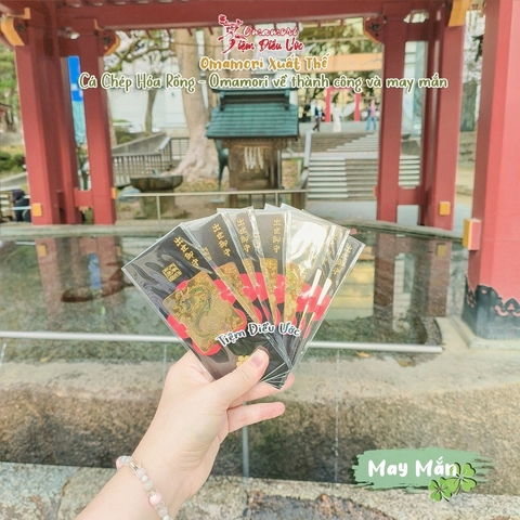 May Mắn Cá Chép Hoá Rồng - Dazaifu