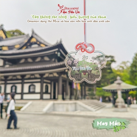 May Mắn - Hoa Anh Đào Hase