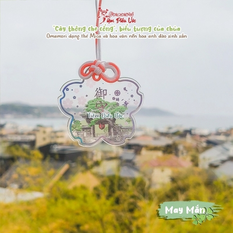 May Mắn - Hoa Anh Đào Hase
