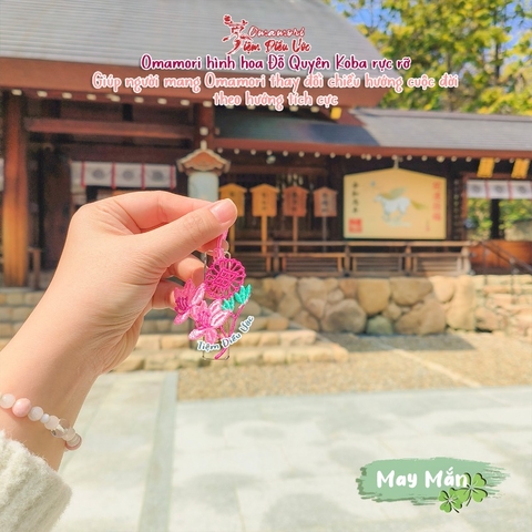 May Mắn - Hoa Đỗ Quyên
