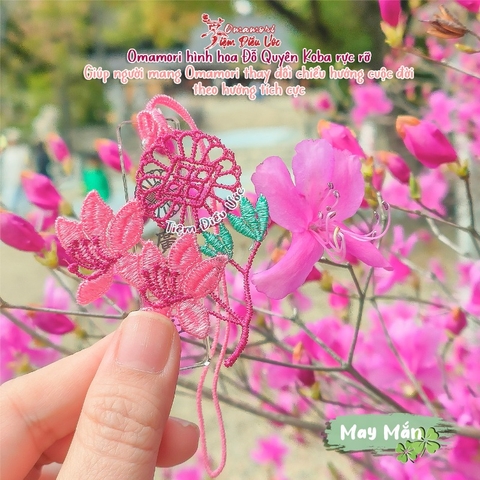 May Mắn - Hoa Đỗ Quyên