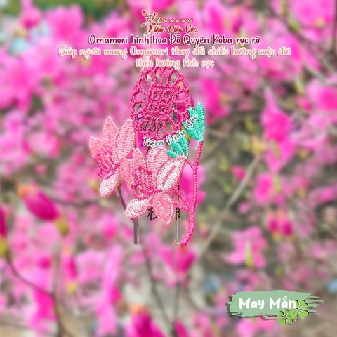 May Mắn - Hoa Đỗ Quyên