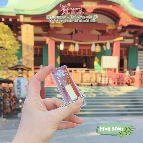 May Mắn - Hạnh Vận - Koto