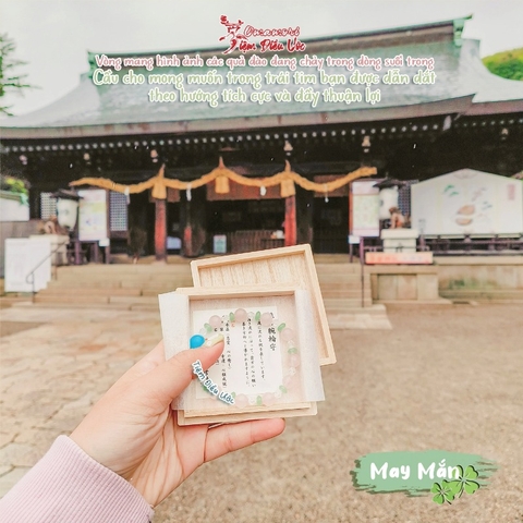 Vòng Anh Đào - Momotaro