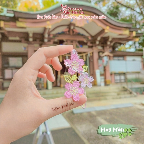 May Mắn - Anh đào