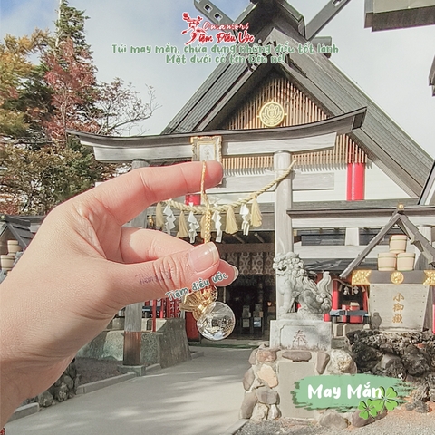 May Mắn - túi vàng - Komitake