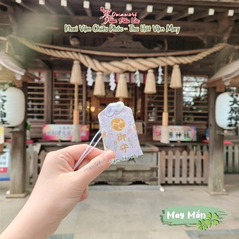 May Mắn - Phụng - Chiba