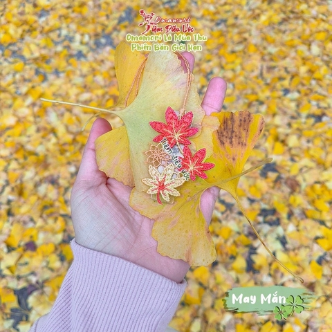 May Mắn - Lá mùa thu - Bản đặc biệt