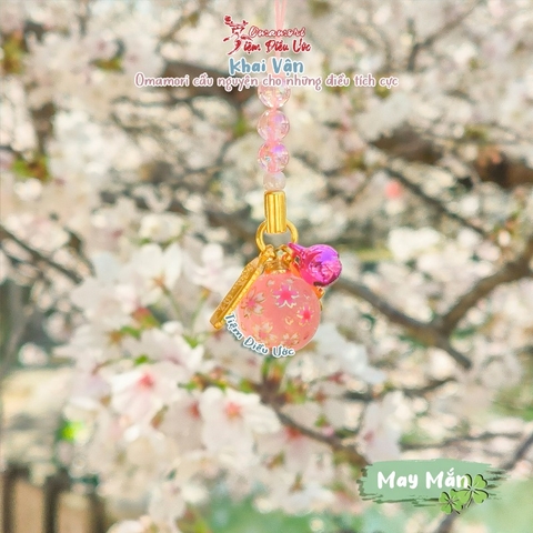 May Mắn châu - hoa anh đào